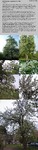 Biotope