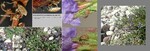 Biotope