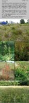Biotope