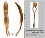 Host Plants