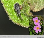 Biotope