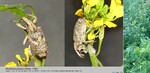 Biotope